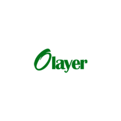 Hair Dryer Manufacturers | Olayer.com Hair Dryer Manufacturers | Olayer.com