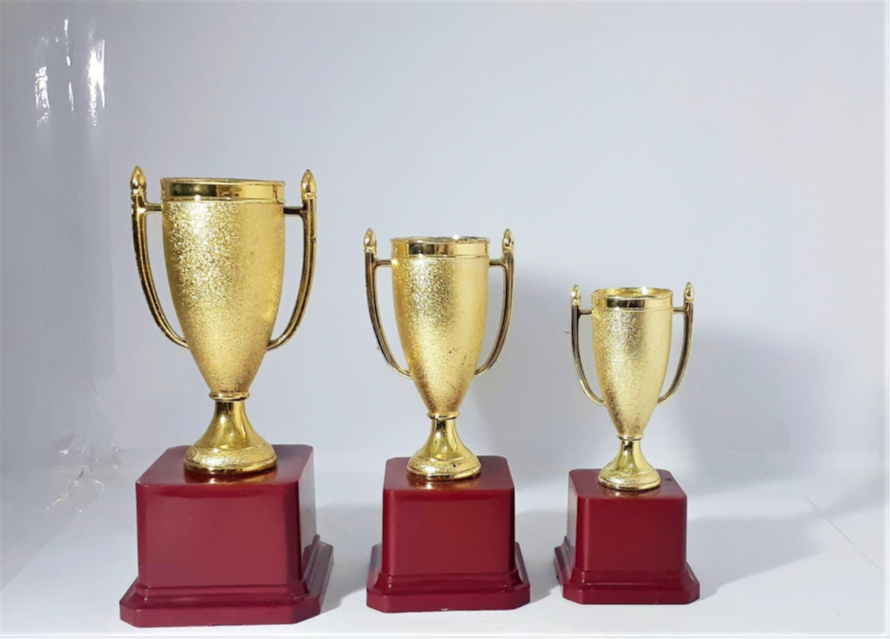 Customised Trophy Vendor in Gurugram