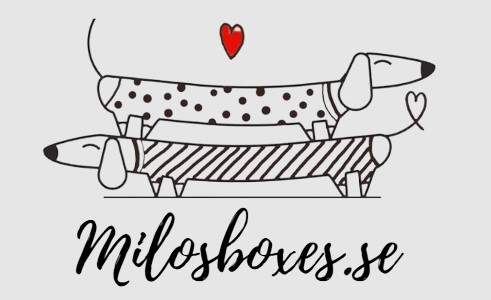 Period boxes for female dogs