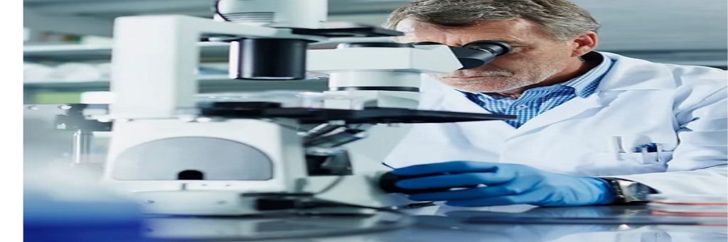 Affordable Mold Remediation in San Leandro by Alameda Mold Guys | alamedamoldguys