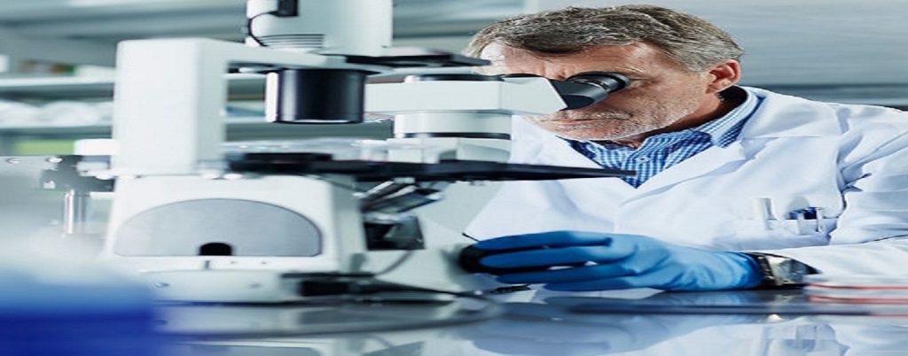 Alameda Mold Guys: Trusted Residential Mold Testing Experts in Oakland | Alamedamoldguys.com