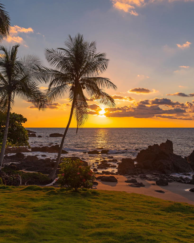 Latest flight ticket offers online