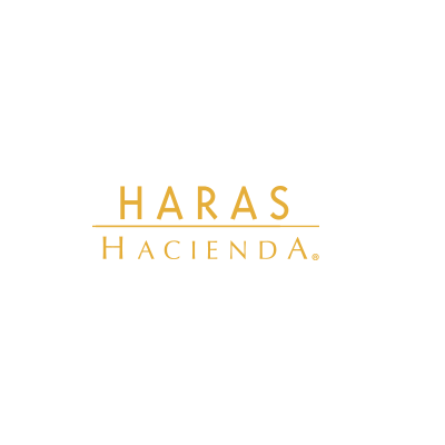 HARAS HACIENDA