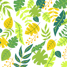 Stimulates Companion with The Golden State State and Area Agencies in Largest Community-Based Project for Military Female and Veterans in WNBA History