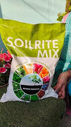 Shop Soil Mixture for Plants Shop Soil Mixture for Plants