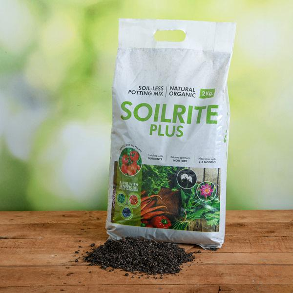 Best Soilless Potting Mix | Indoor Gardening Product – Keltech Energies