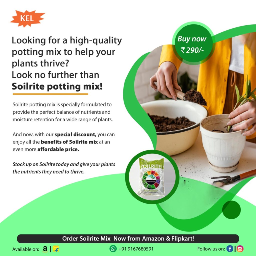 Buy Premium Potting Soil Mix Online – Perfect Soil for Plants!