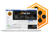DigiHive