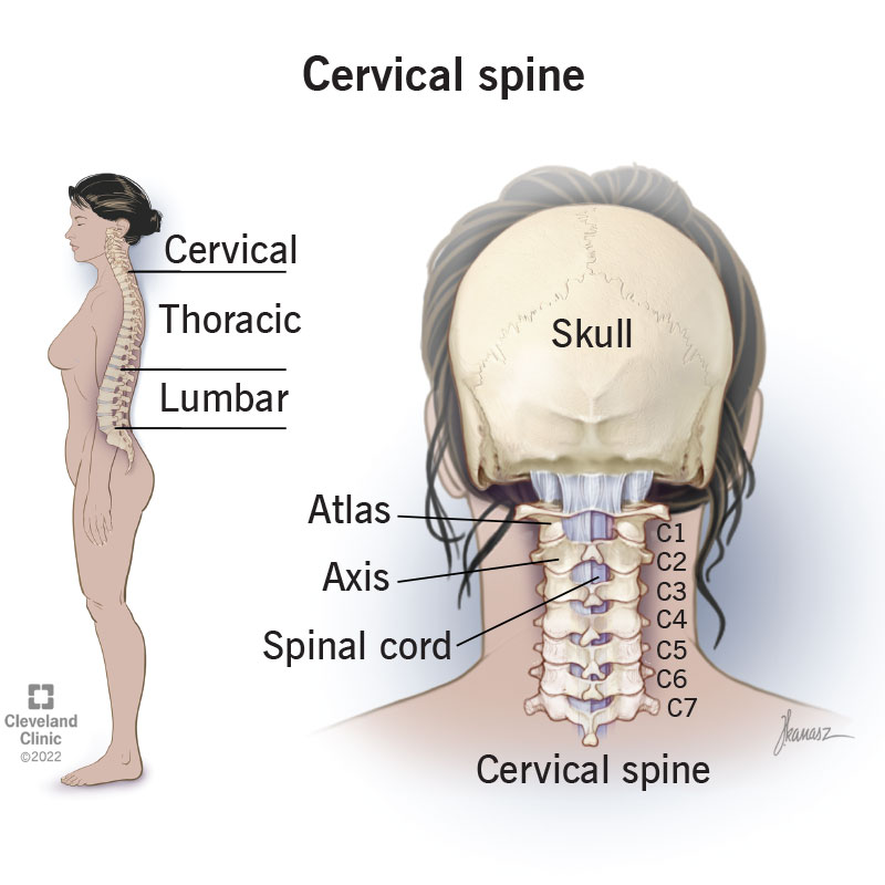 Cervical Treatment Doctor In Jaipur | NINTT Cervical Treatment Doctor In Jaipur | NINTT