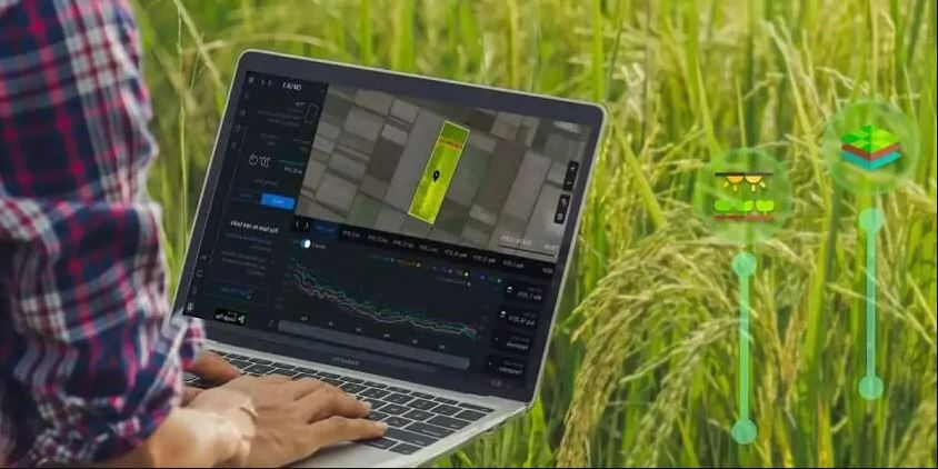 Production Software For Growers Production Software For Growers