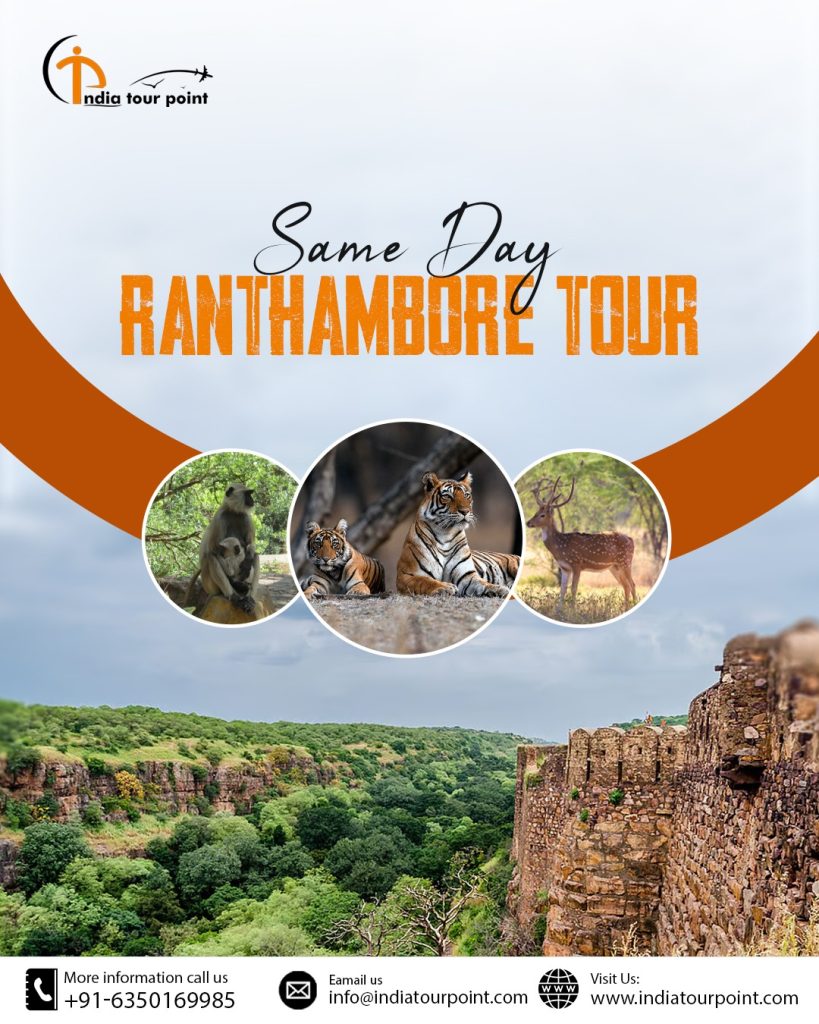 Same Day Ranthambore Tour – Your Perfect Quick Getaway with India Tour Point Same Day Ranthambore Tour – Your Perfect Quick Getaway with India Tour Point