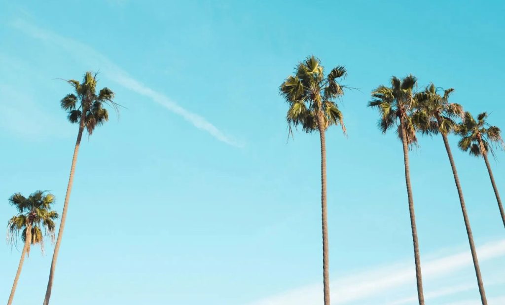 Find the Support You Deserve with a Trusted Therapist in Brentwood