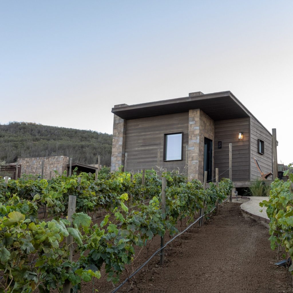 Mexico’s Hidden Wine Road: Discover a Baja Paradise