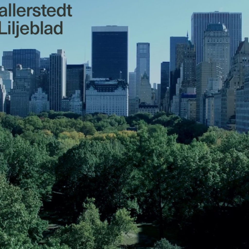 Internationell prisjustering för skatteändamål – expertinsikter