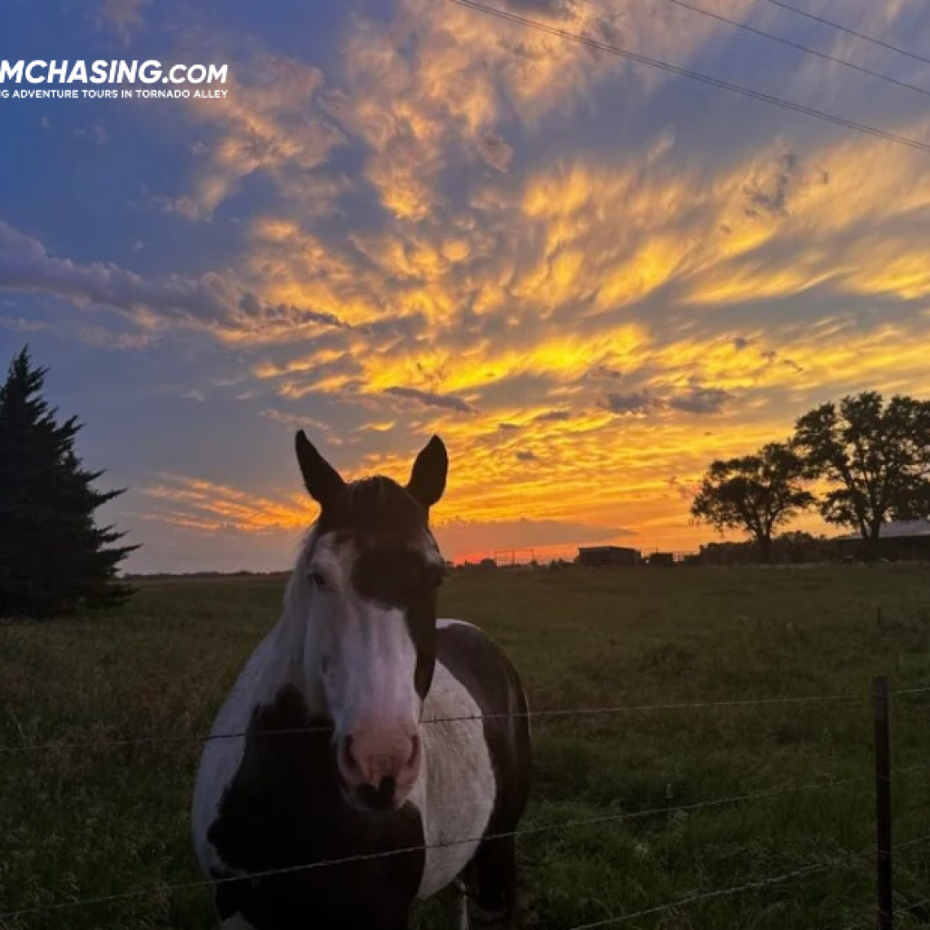 Chasing Tightly-Tuned Storms: An Expert Guide to Thunderstorm Adventures
