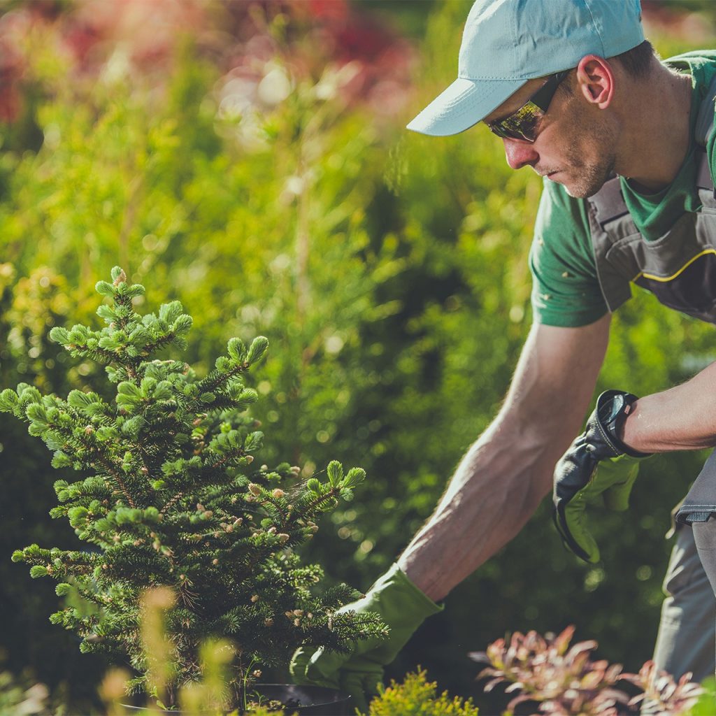 Top-Titched Lawn Care Experts in Converse: Trusted Local Care Top-Titched Lawn Care Experts in Converse: Trusted Local Care