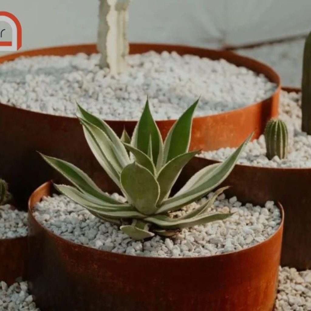 Create a polished garden with durable edging ideas