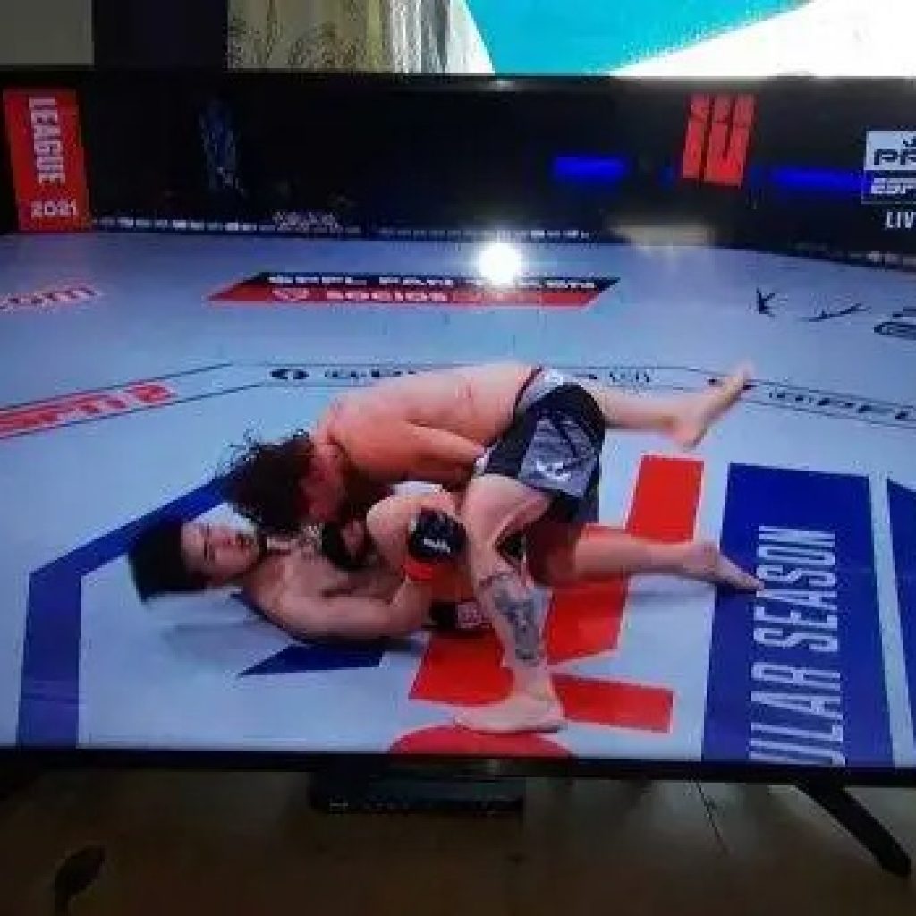 Stream Premium TV via a Flexible IPTV Solution Stream Premium TV via a Flexible IPTV Solution