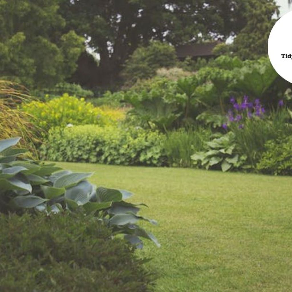 Professional Lawn Shaping for a Pristine Bristol Garden Professional Lawn Shaping for a Pristine Bristol Garden