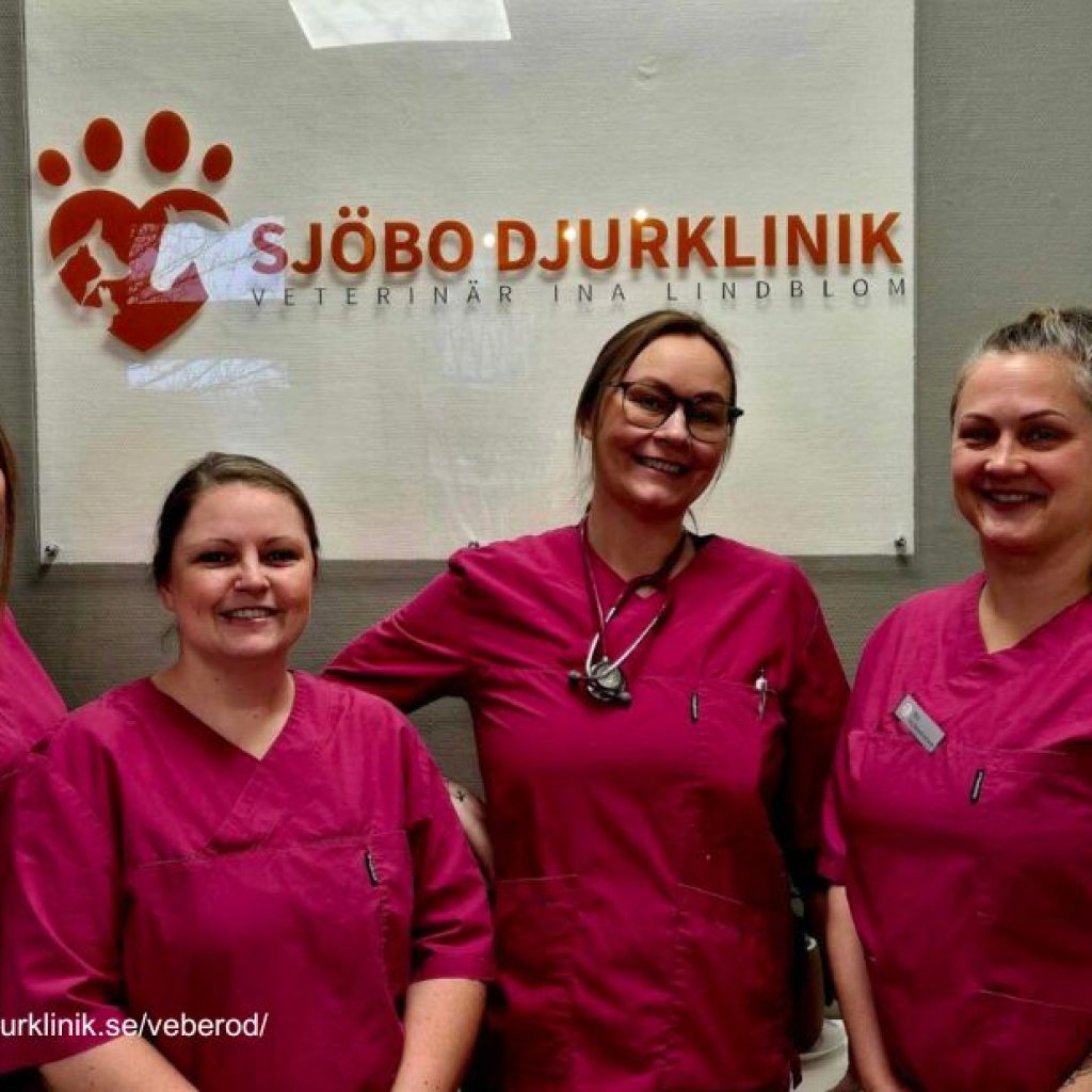 Omsorgsfullt bortskicka hunden i Ystad – omtanke och stöd Omsorgsfullt bortskicka hunden i Ystad – omtanke och stöd