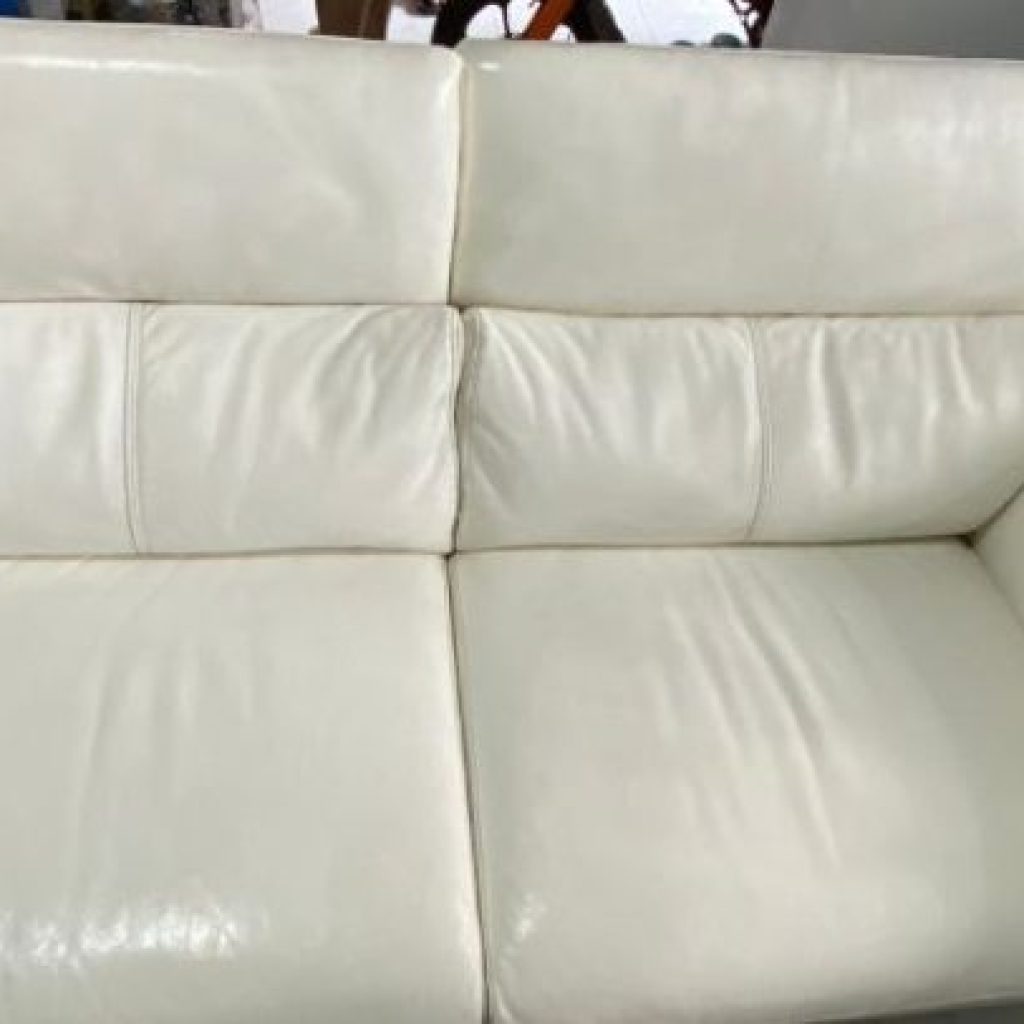 Reliable Disinfection Services Singapore for Homes and Businesses