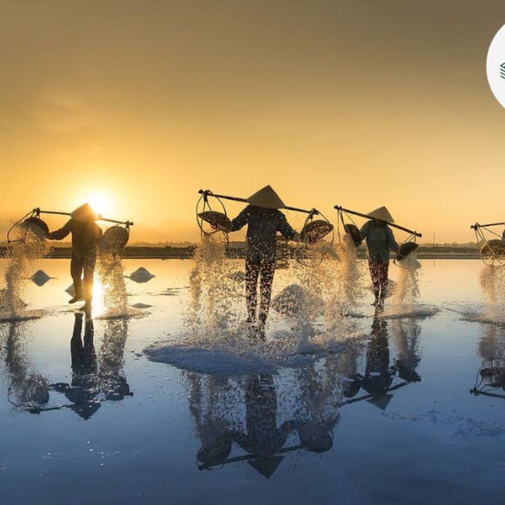 Discover Businesses for Sale in Singapore: Your Next Venture