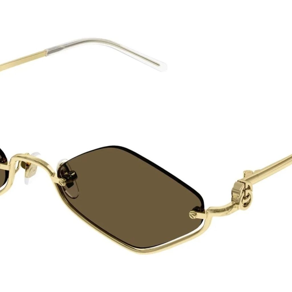 הזדמנות מושלמת: משקפי שמש יוקרתיים בסגנון סלין