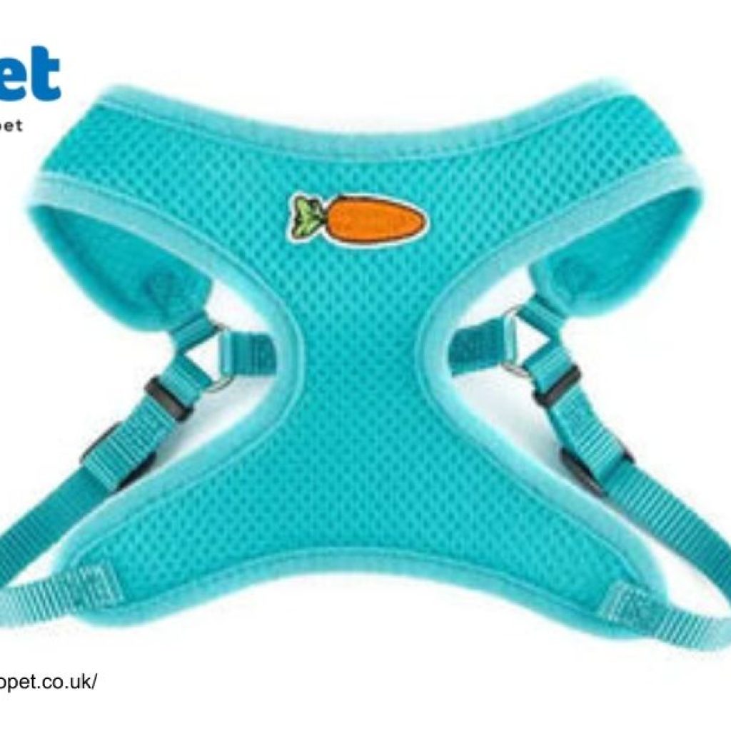 Hamster Litter Tray Buy Online Uk | Yopet.co.uk