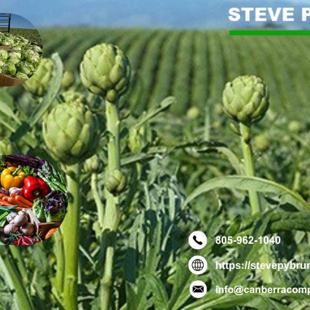 Agricultural Taxation Expert in Santa Maria Your Go-To Specialist for Farm Taxes