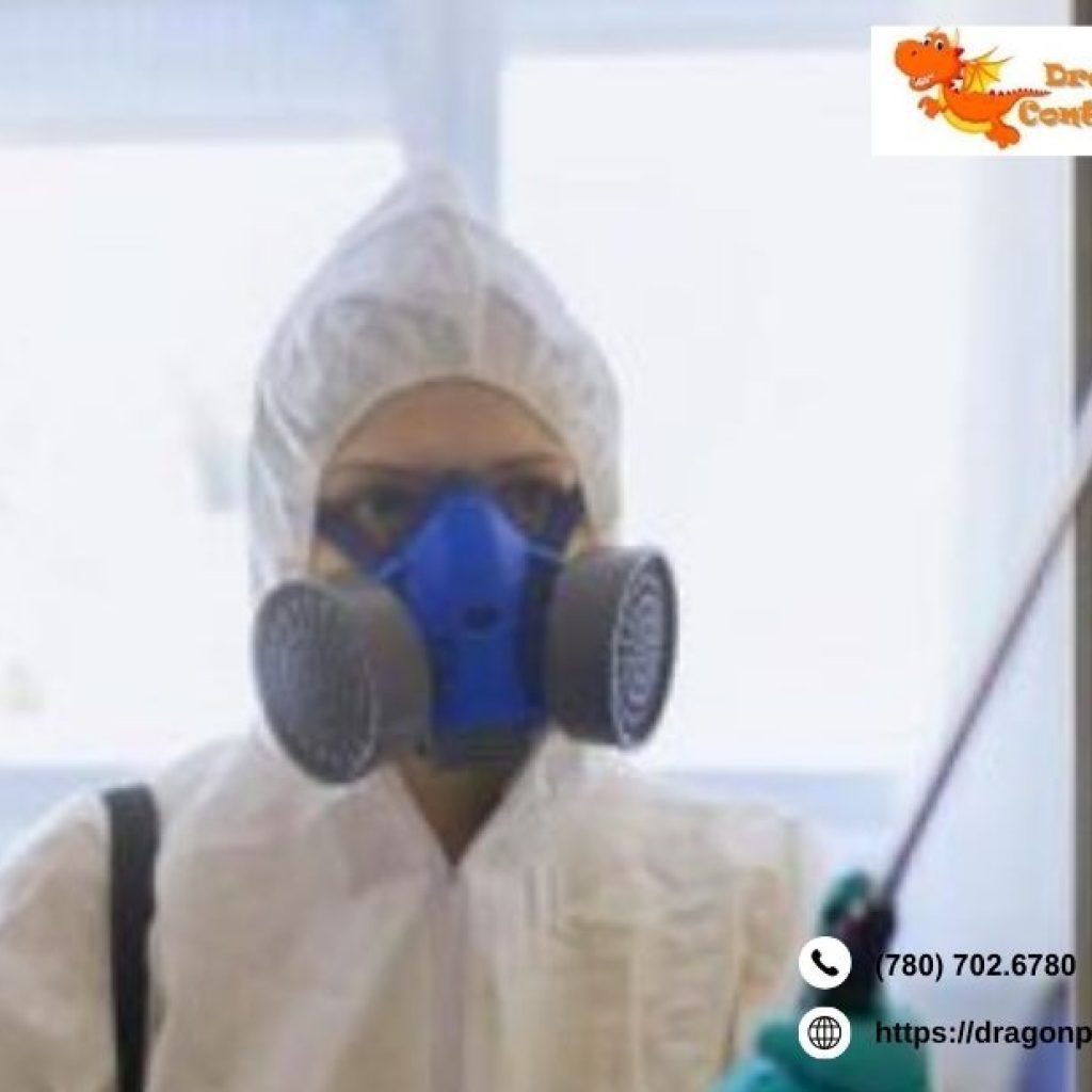 Mosquito Control Edmonton | Dragonpestcontrol.ca Mosquito Control Edmonton | Dragonpestcontrol.ca