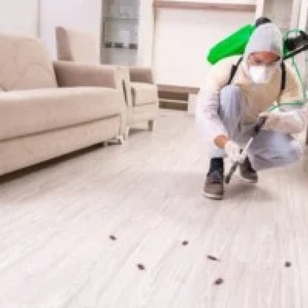 Trusted Local Pest Solutions for Your Home or Business Trusted Local Pest Solutions for Your Home or Business