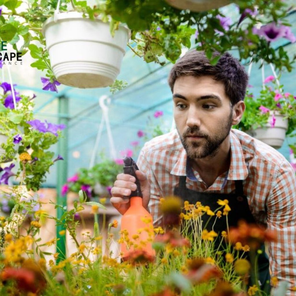 Effortless Garden Waste Clean-Up for Your Outdoor Space Effortless Garden Waste Clean-Up for Your Outdoor Space