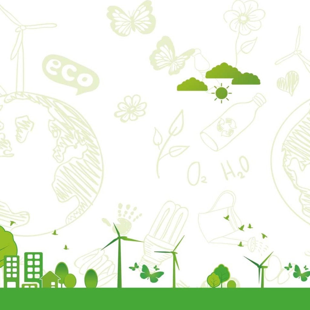 Discover Budget-Friendly Shopify Templates for Your Store