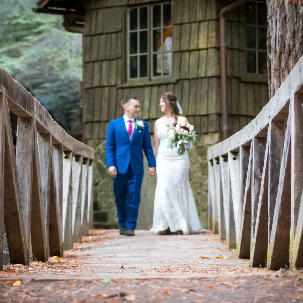Aerial Imagery Magic in Sonoma County for Memorable Moments Aerial Imagery Magic in Sonoma County for Memorable Moments