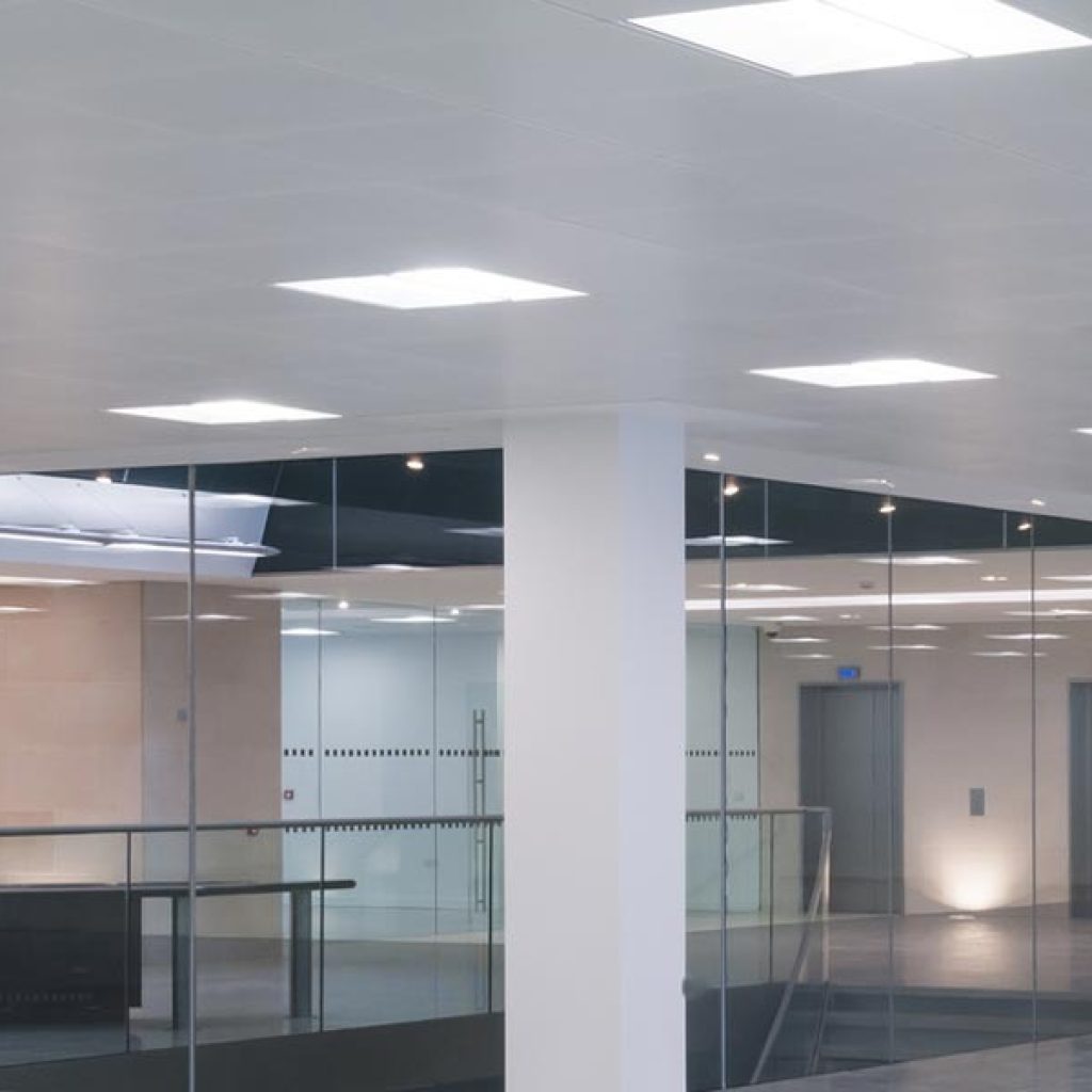 Brighten Up: Energy-Efficient Circular LED Bulbs for Any Space Brighten Up: Energy-Efficient Circular LED Bulbs for Any Space