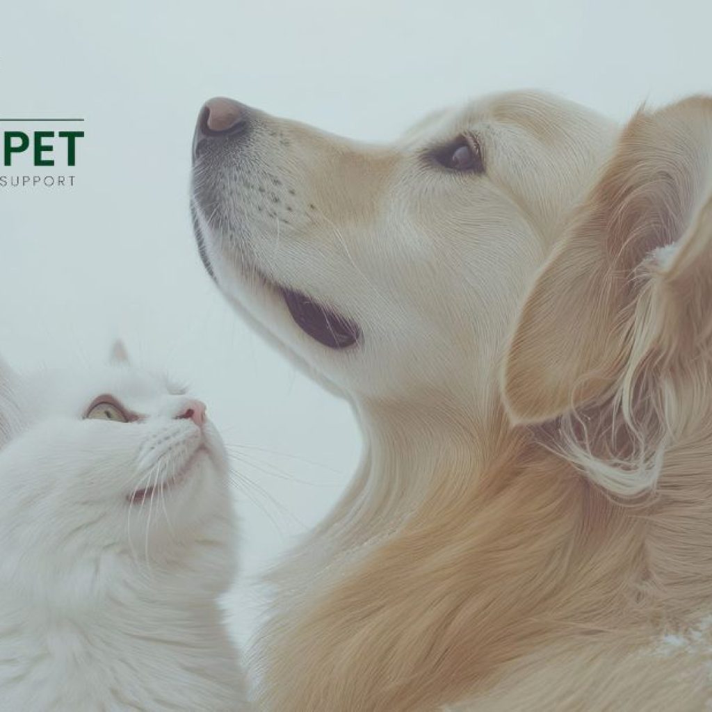 Support Your Pet’s Kidney Health with Natural Supplements