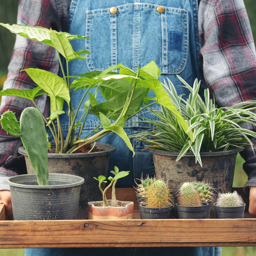 Discover a marketplace for home based food sellers you can trust