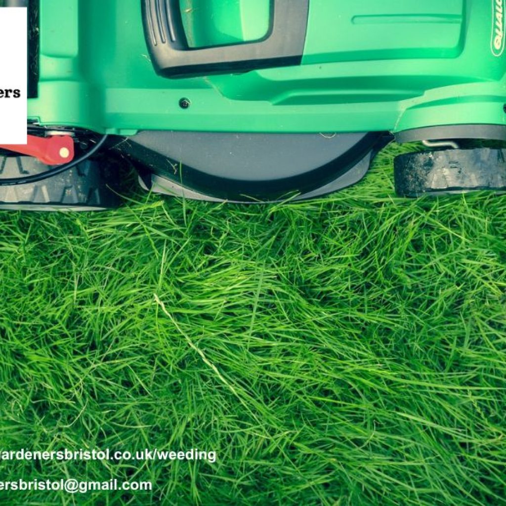 Professional Garden Upkeep in Southwest England Professional Garden Upkeep in Southwest England