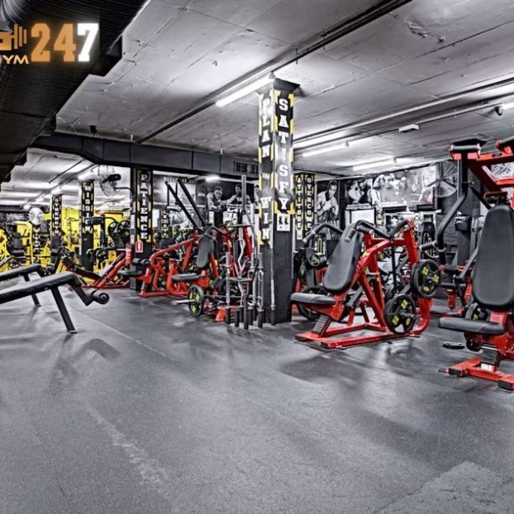 Personalized Guidance: Gym Personal Trainer