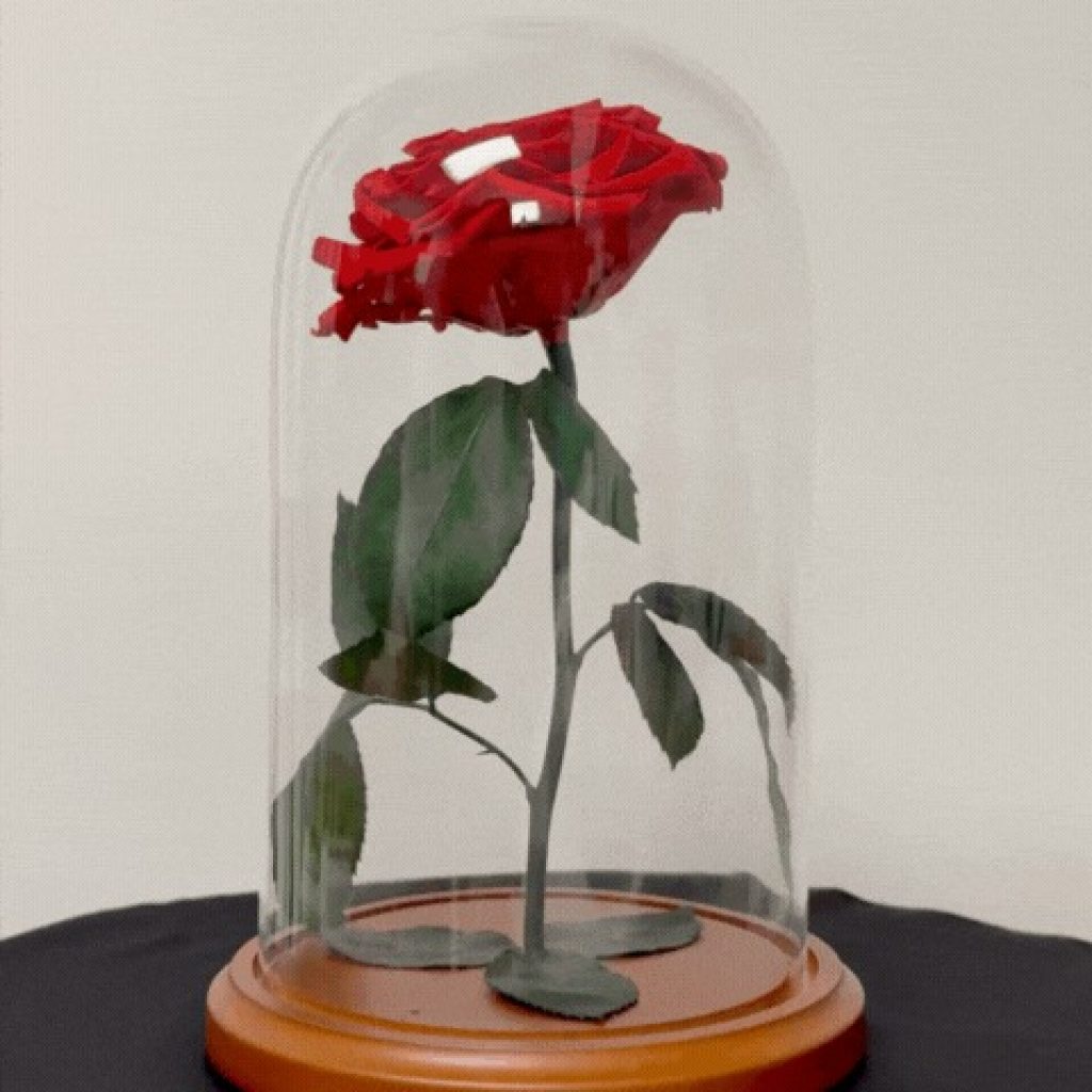 Timeless Birthday Rose Gift: Lasting Beauty for Loved Ones