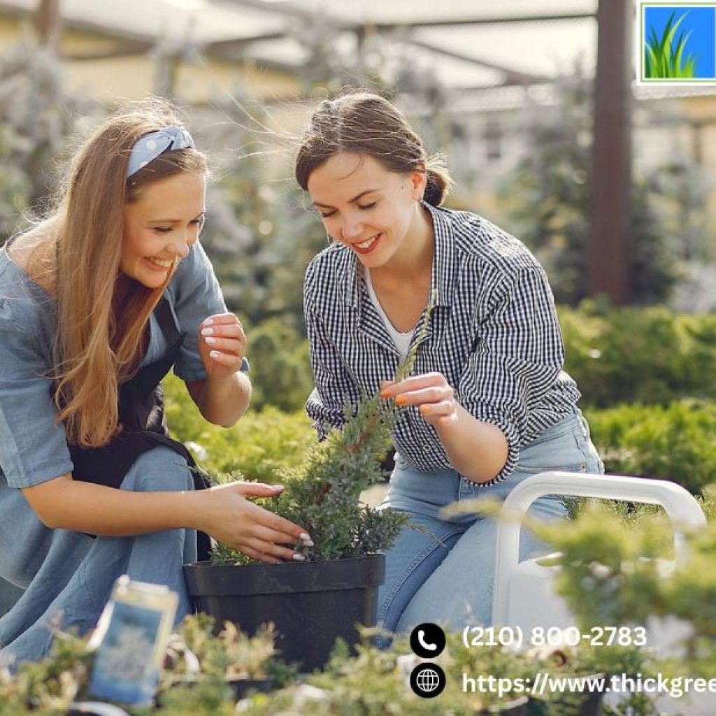 Expert Lawn Care Services In Converse Tx | Thickgreenhealthy.com