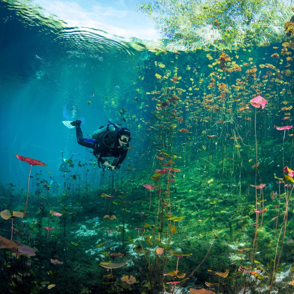 Explore Tulum’s Submerged Wonders: Cenotes for Adventure Seekers