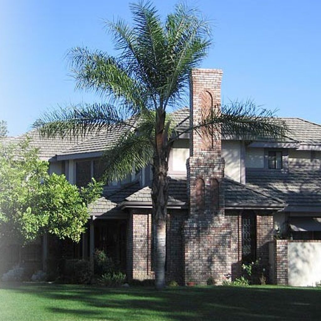 Expert Chimney Services in LA | Repair, Rebuild & Safety Expert Chimney Services in LA | Repair, Rebuild & Safety