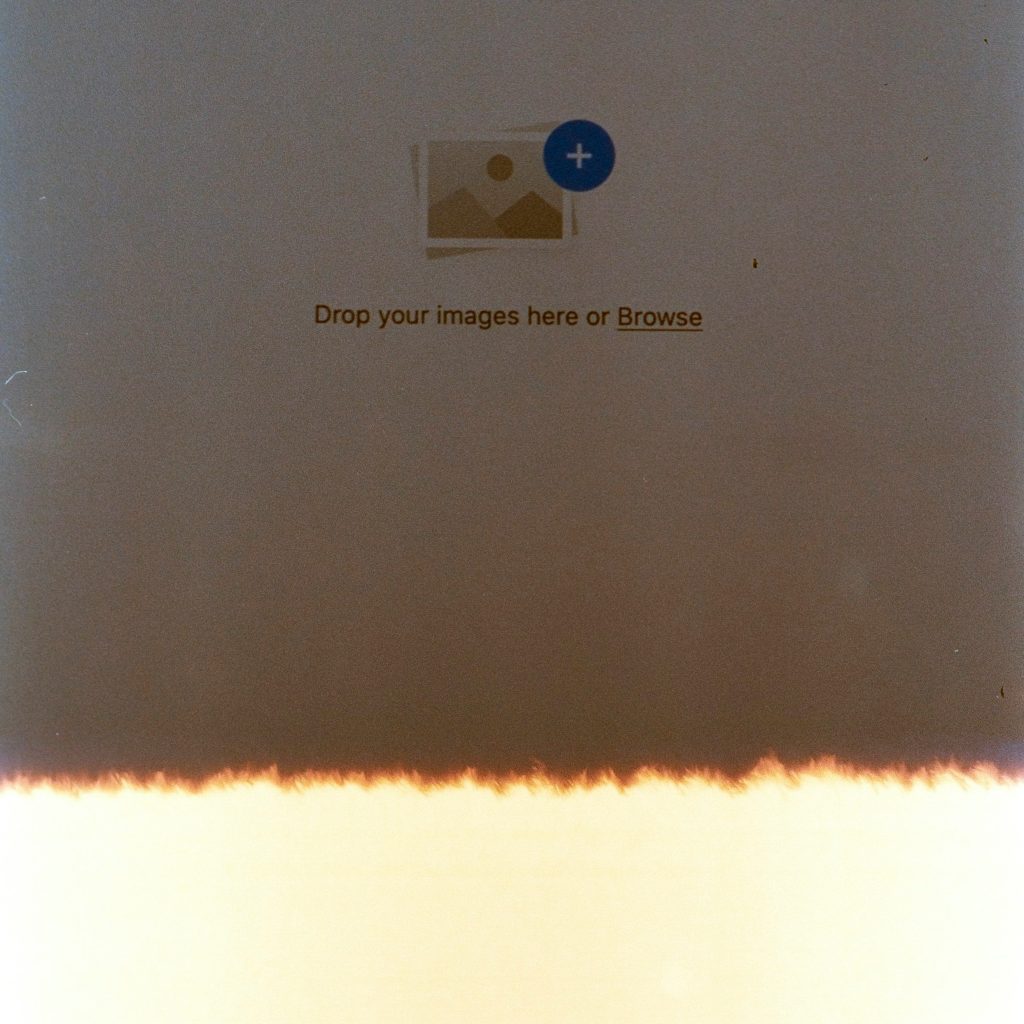 Efficient European Bulk P2NP Solutions for Businesses