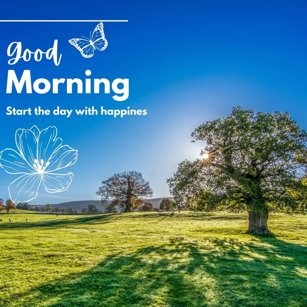 Expert Wound Care for Winnipeg Residents | Compassionate Clinic Services Expert Wound Care for Winnipeg Residents | Compassionate Clinic Services