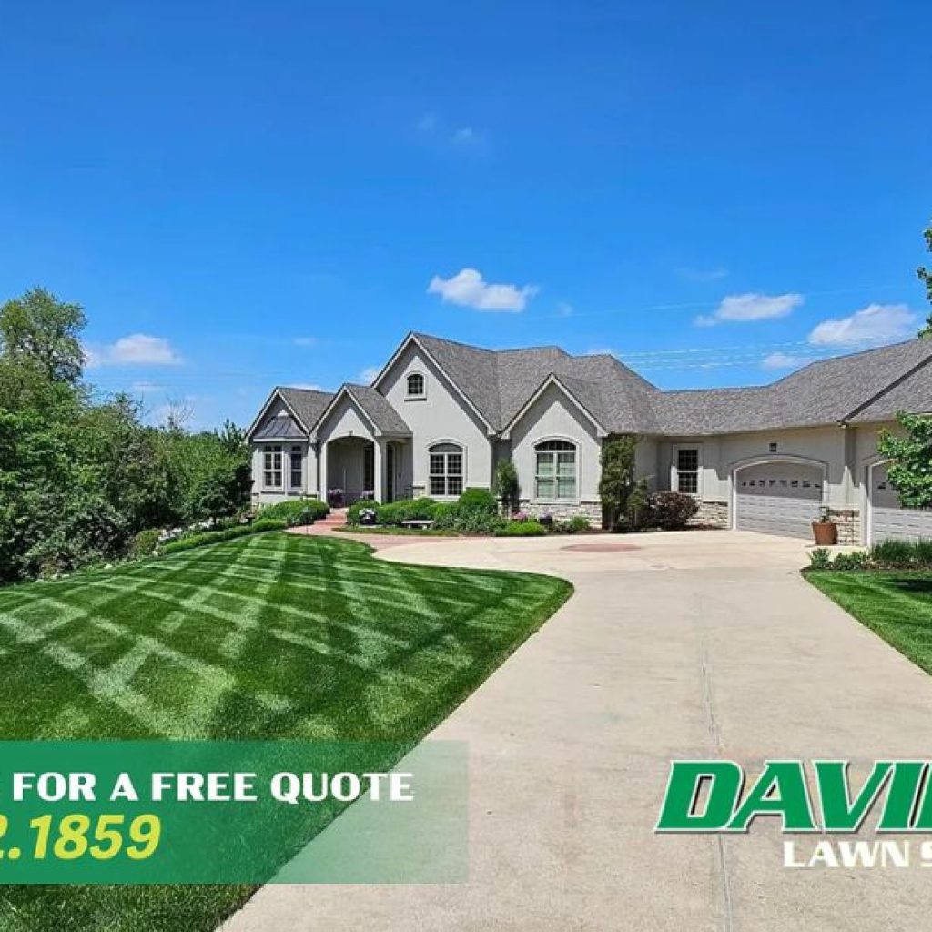 Trusted local lawn care and yard maintenance services Trusted local lawn care and yard maintenance services