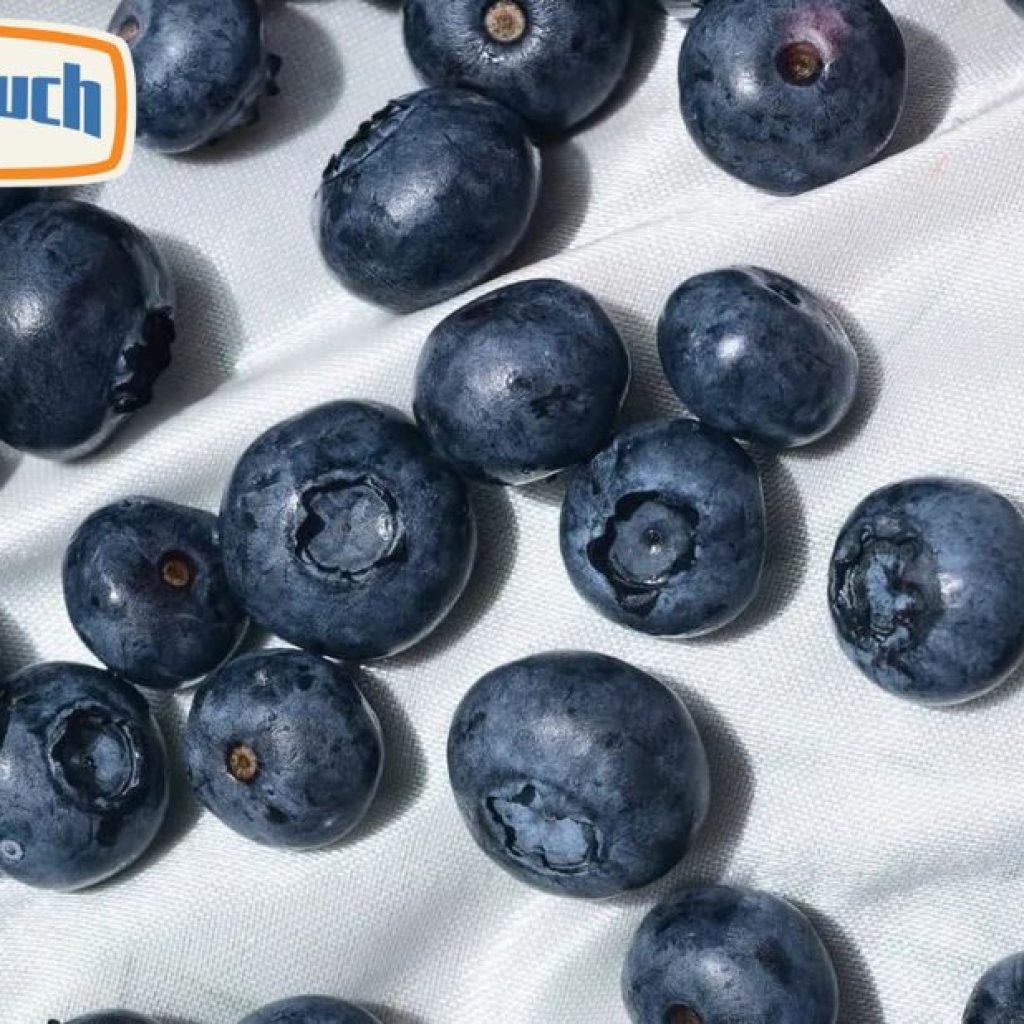 Discover Smooth Nicotine Pouches by a Trusted Brand
