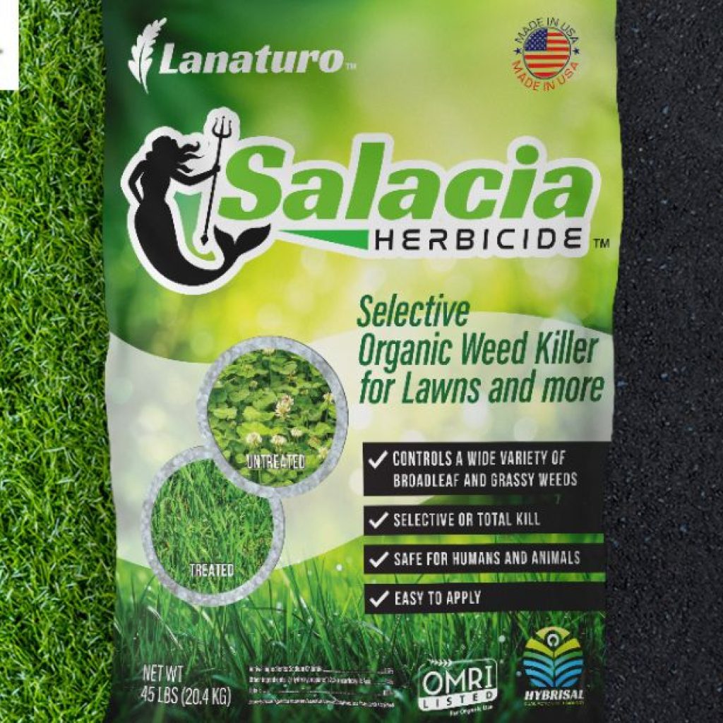 Smart Ways to Eliminate Weeds Without Damaging Your Lawn