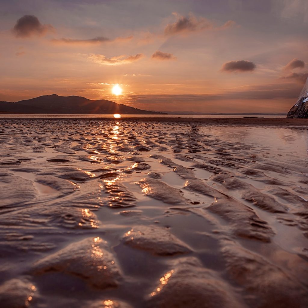 How to Extend Your Rental Forever: Expert Guidance for Tenants