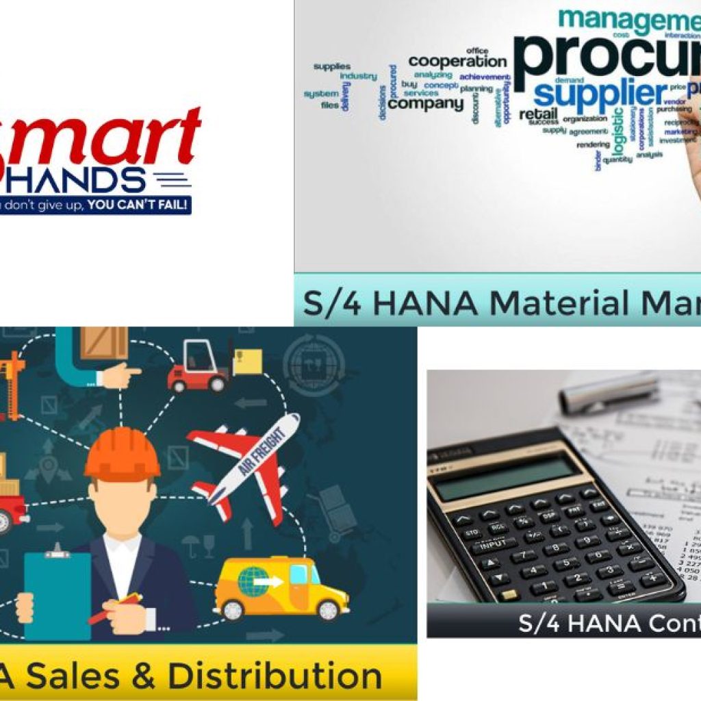 Master SAP ERP Central Component Training for Career Growth Master SAP ERP Central Component Training for Career Growth